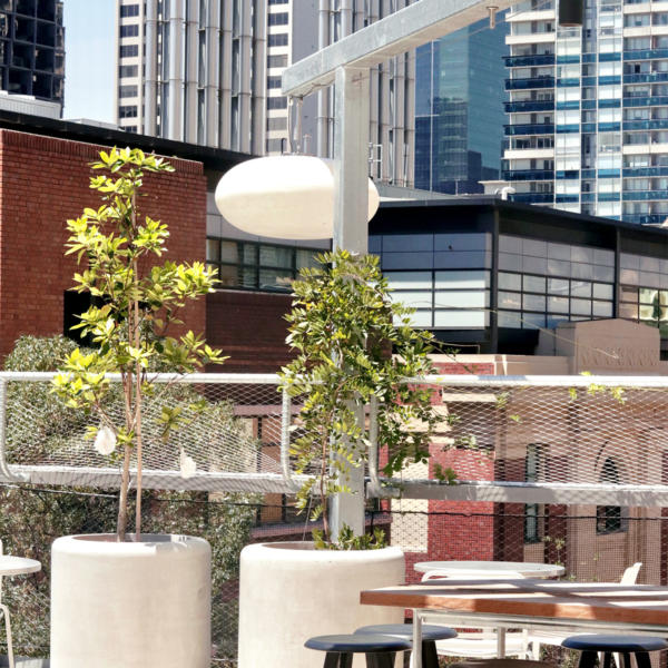 Custom exterior oval pendant light