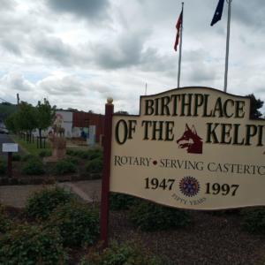 Australian-kelpie-centre-01